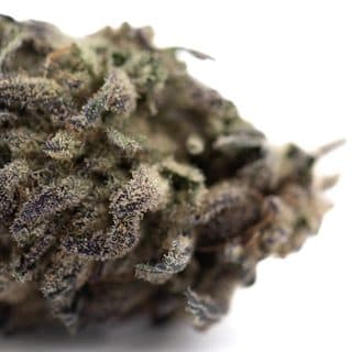 Blue Sugar