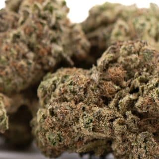 Daily Grape