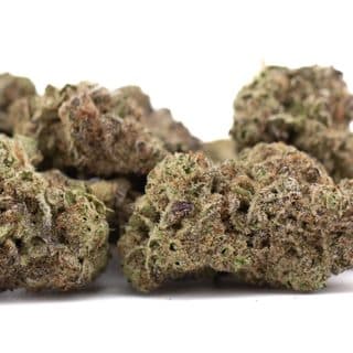 GAS