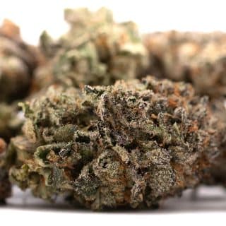Gas
