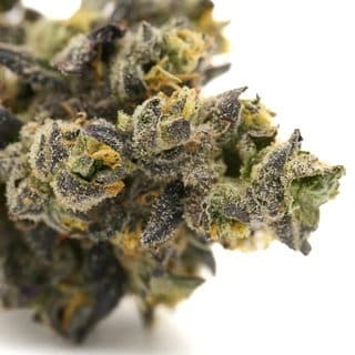 Lung Buster