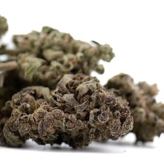 Mendo Breath