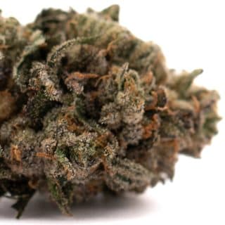 Purple Lemon Cake