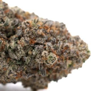 Tropical Punch