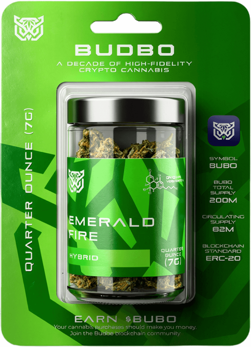 Budbo Balance pathway — Hybrid · Level